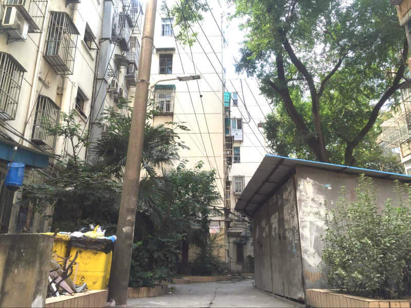 上海路83号11997974周边环境图10