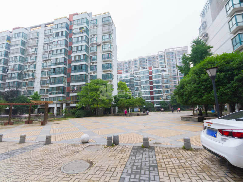 亲水湾花园12269258周边环境图9