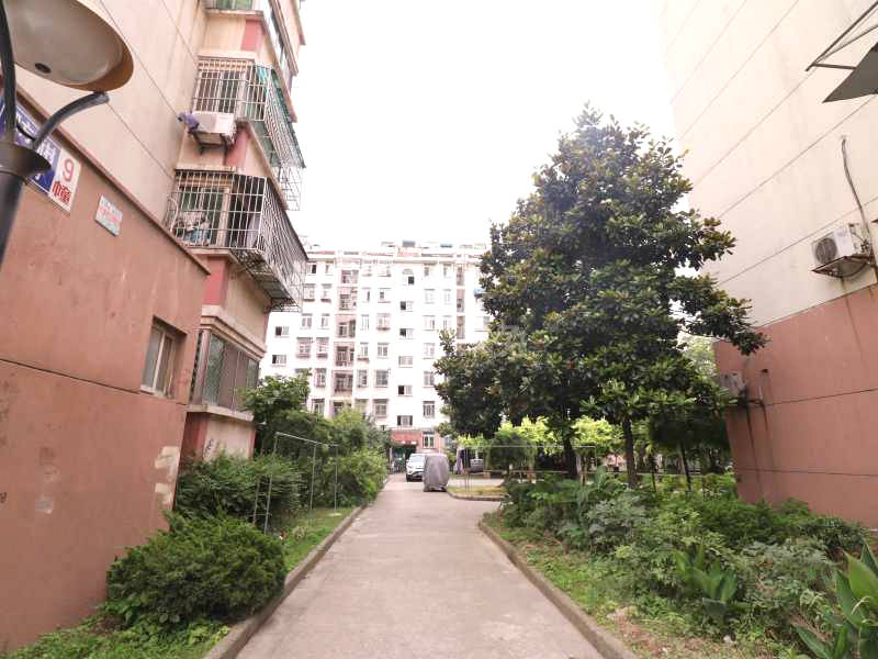 四方新村二村12527248周边环境图4