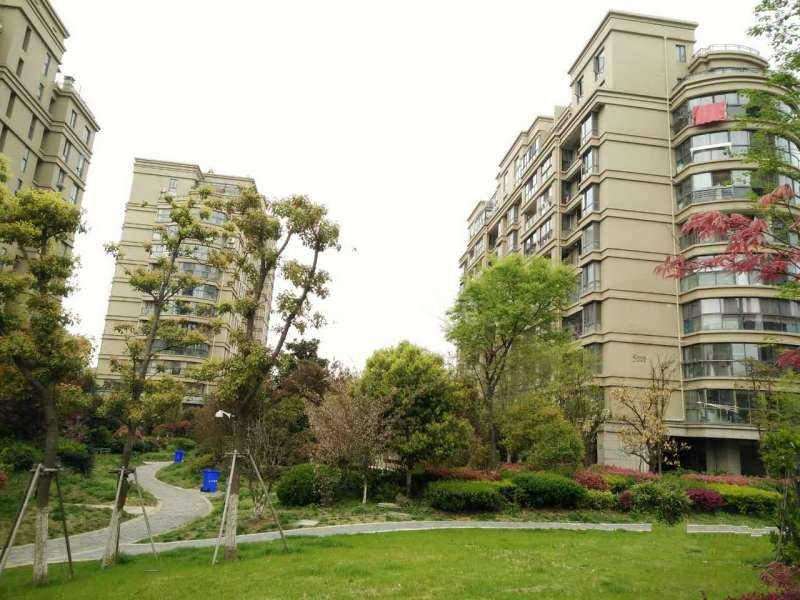 托乐嘉友邻居8488142周边环境图12