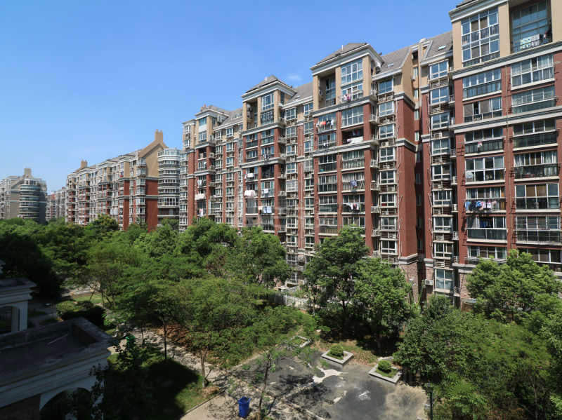 托乐嘉友邻居8488142周边环境图13