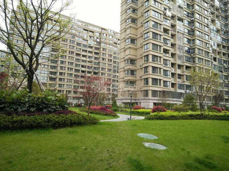 托乐嘉吉邻居13546730周边环境图12