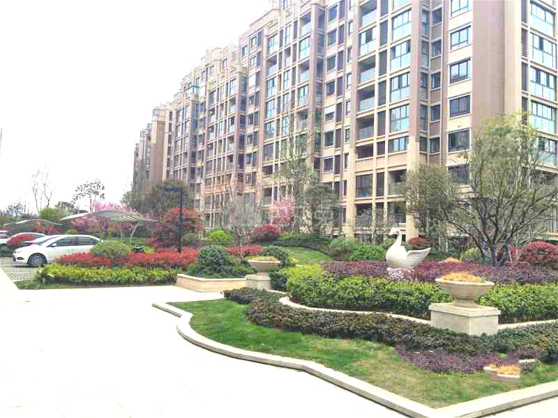 星叶枫情水岸12435783周边环境图4