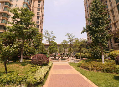 雅居乐花园 1室0厅0卫