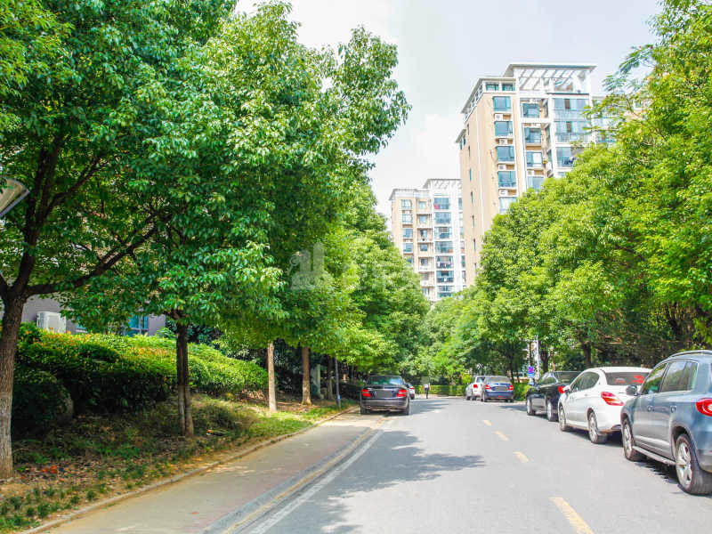 阅城国际花园馨然园14962252周边环境图3