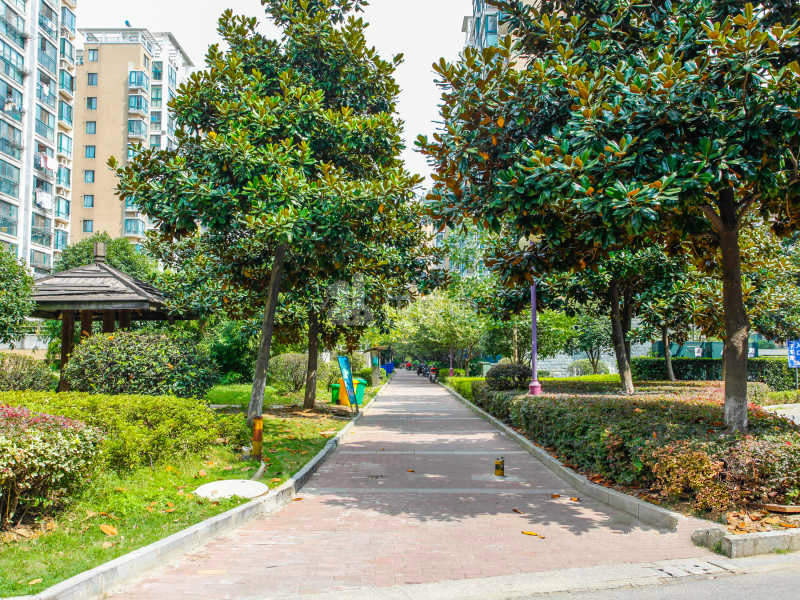 阅城国际花园馨然园14962252周边环境图5