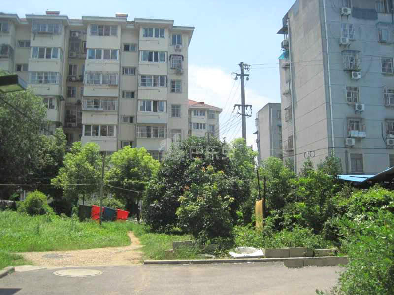 紫萝苑12545525周边环境图7