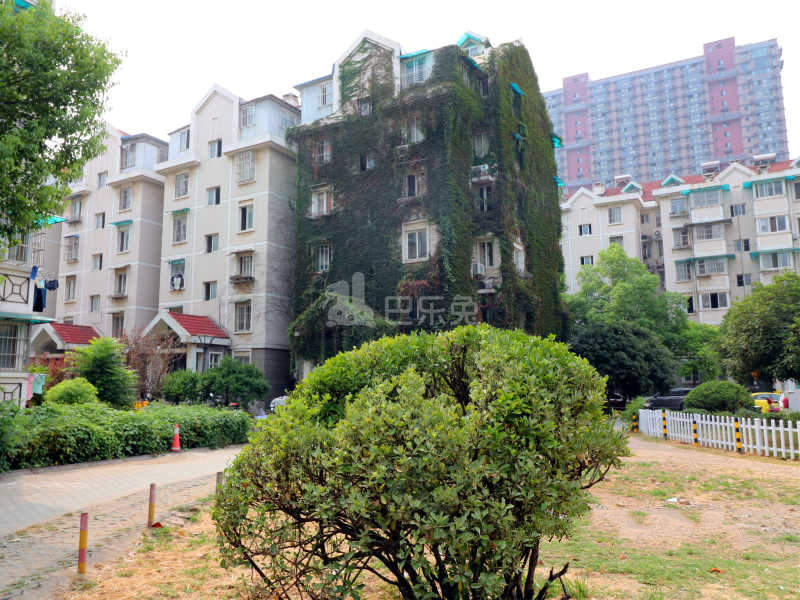 育才公寓12508618周边环境图5