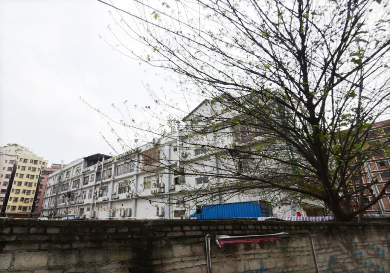 四合院阳光公寓（松猫岭五巷6号B栋）3987493周边环境图7