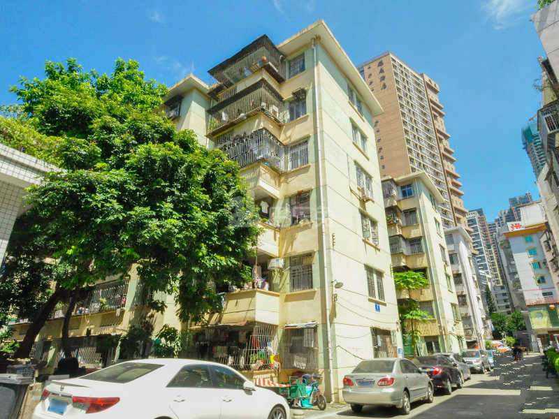 广场北街小区12019312周边环境图1