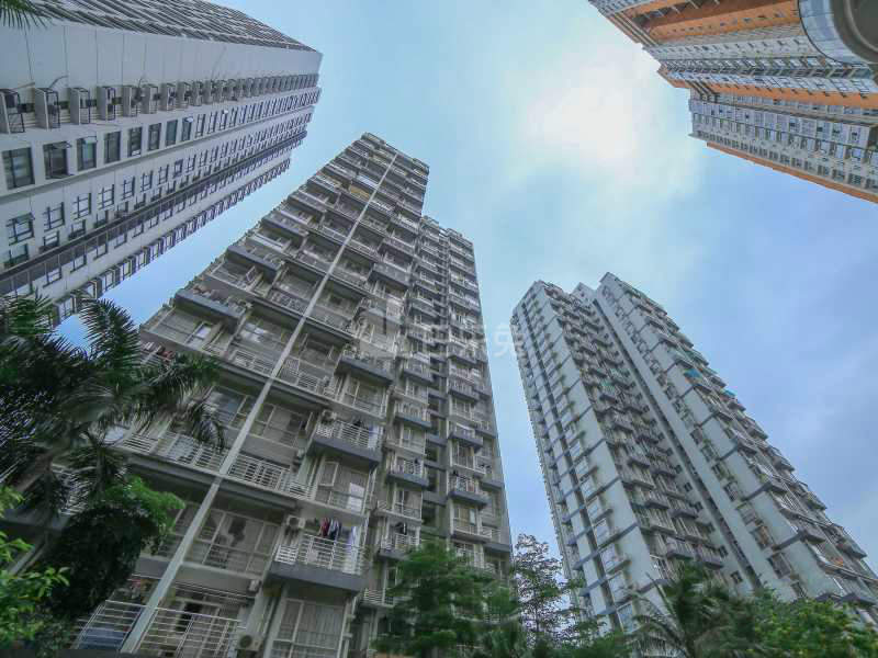 青莲公寓11978915周边环境图1