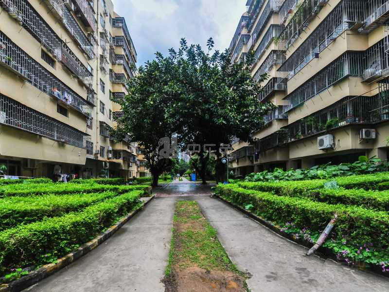 沙河荔园新村10102871周边环境图9