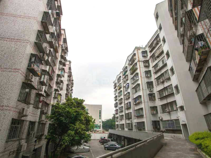 红梅苑11957793周边环境图3