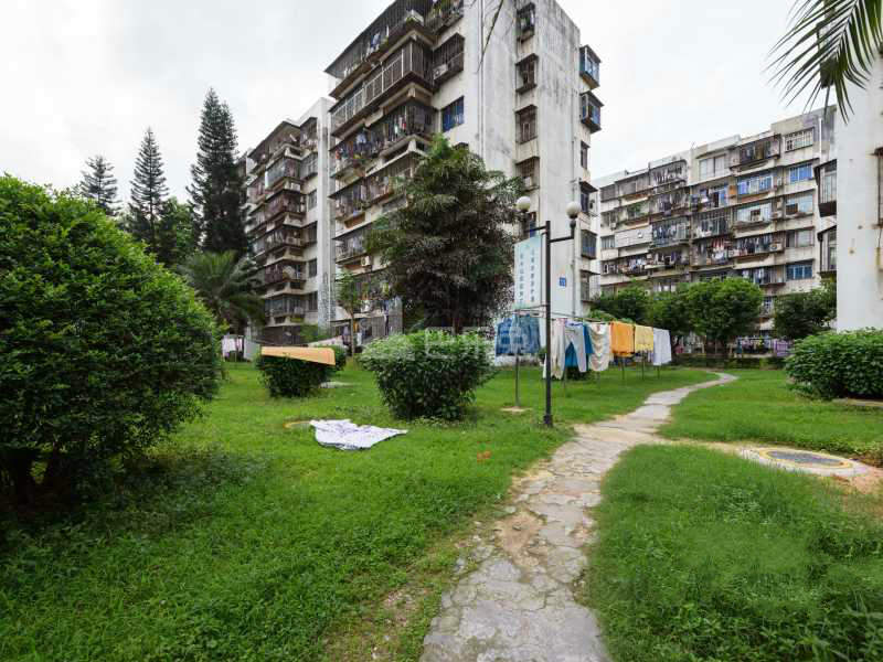 红荔村11956893周边环境图1