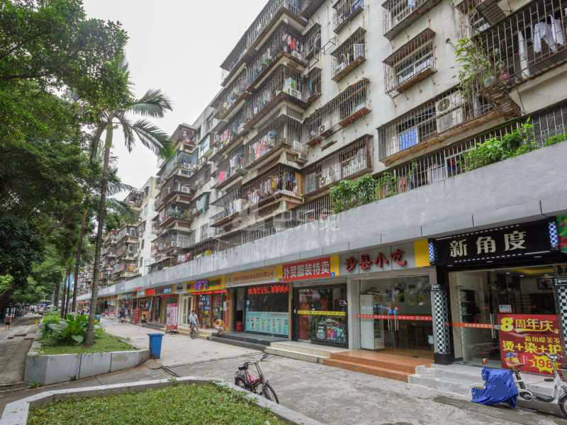 红荔村11956893周边环境图2