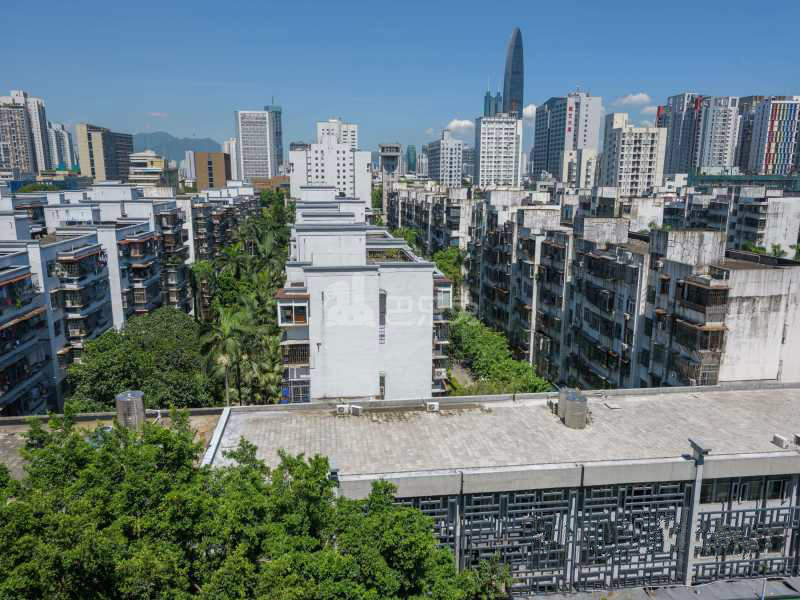 红荔村11956893周边环境图3