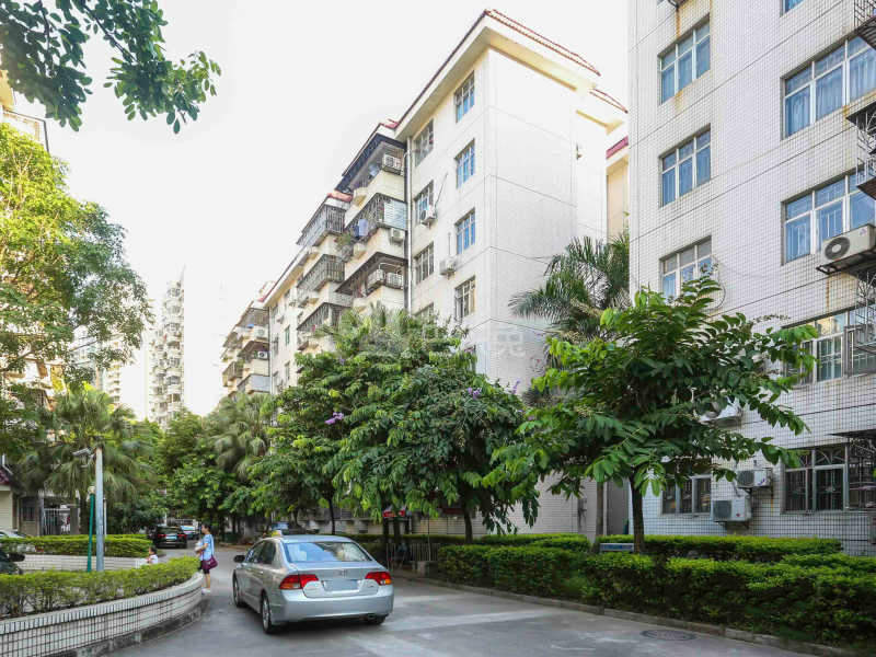 绿洲花园（新洲七街）18474290周边环境图5