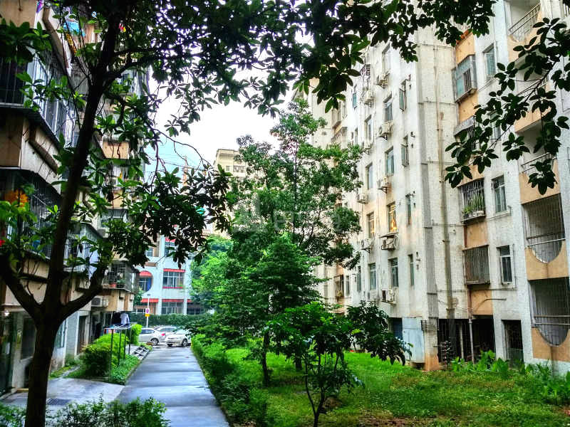 景田西11958780周边环境图2