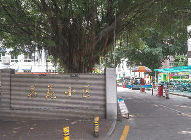 荔苑小区 1室0厅1卫