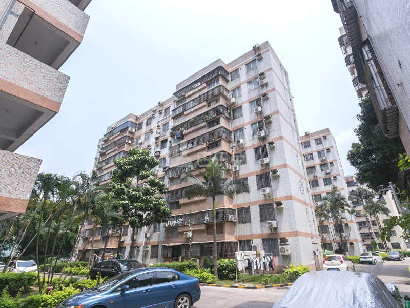 荔苑小区6407384周边环境图9