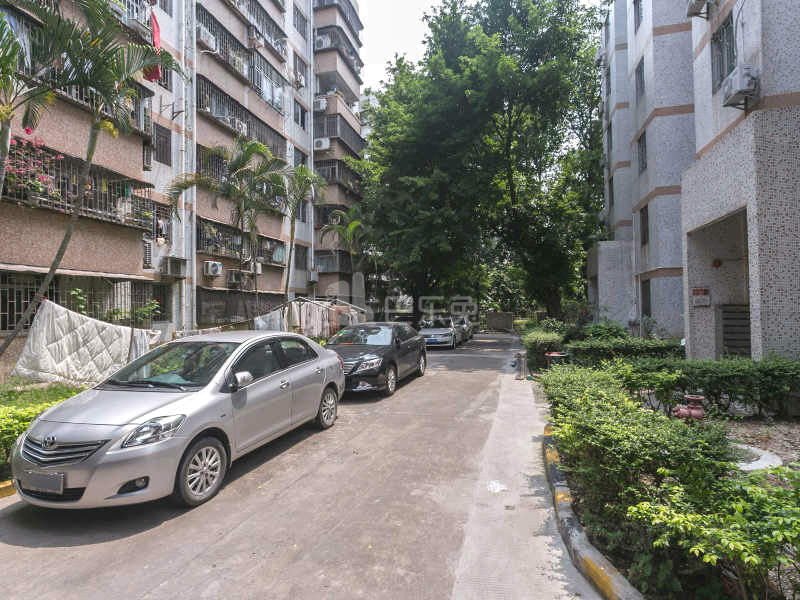 荔苑小区6407384周边环境图10