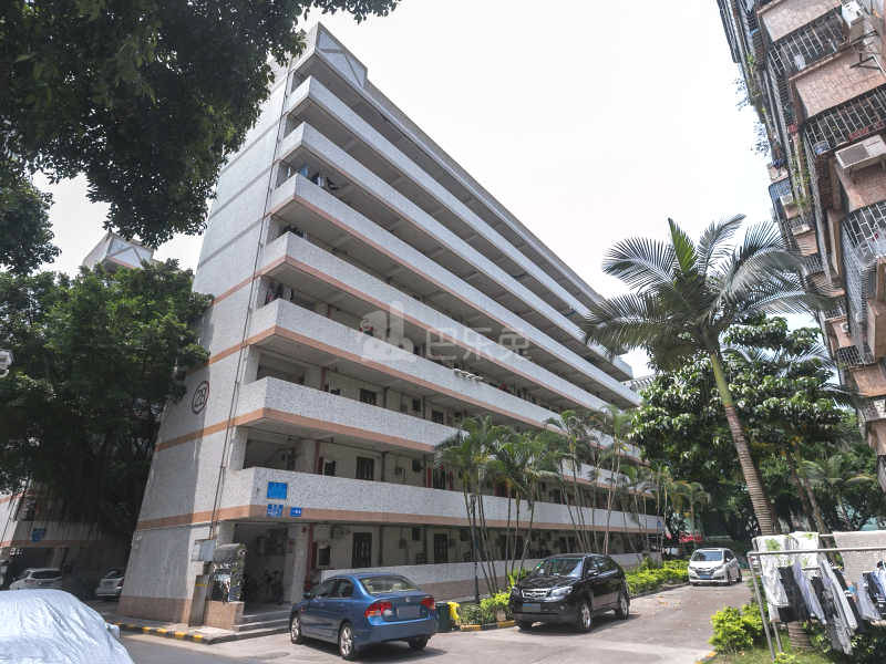 荔苑小区6407384周边环境图11