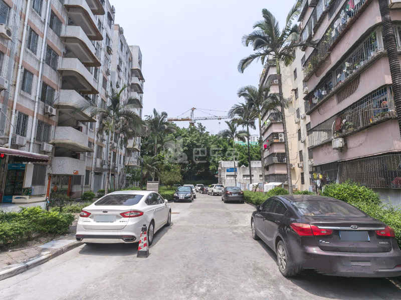 荔苑小区6407384周边环境图12