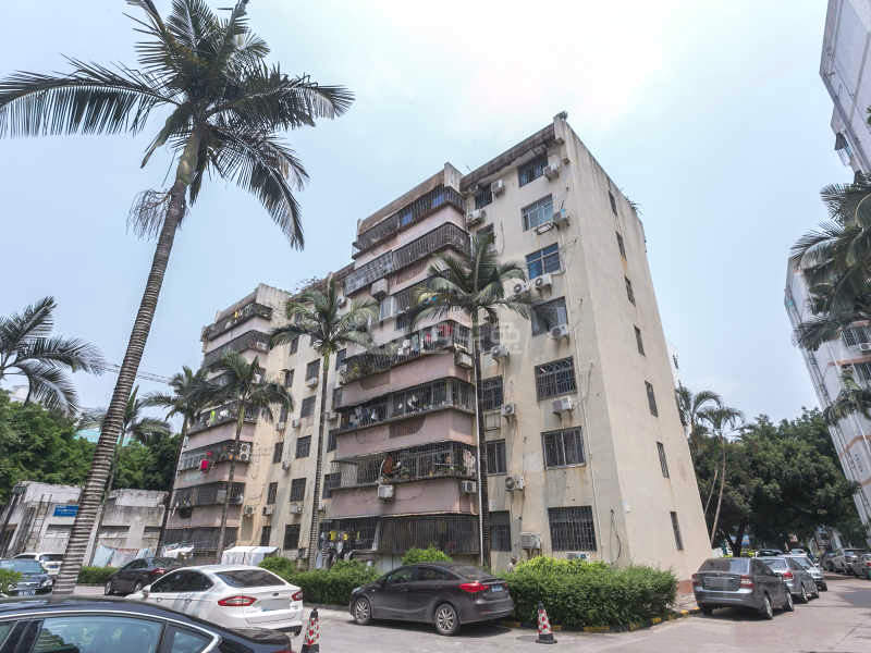 荔苑小区6407384周边环境图13