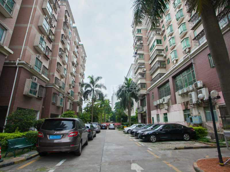 金丰花园11957039周边环境图3