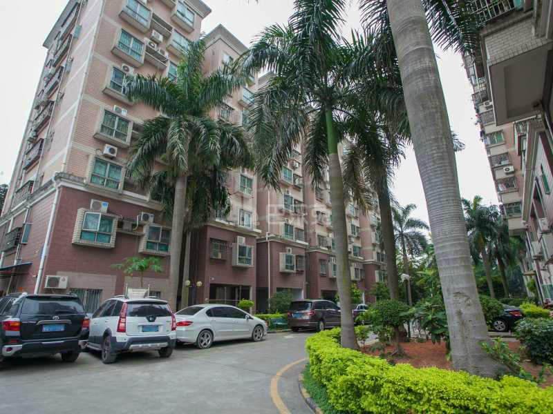 金丰花园11957039周边环境图4