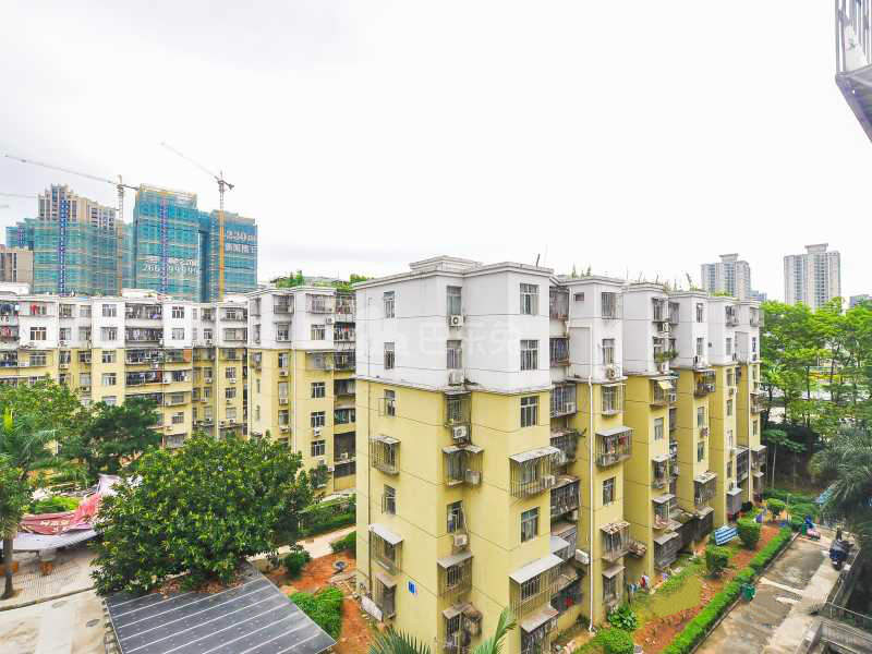 金众小区4188436周边环境图11