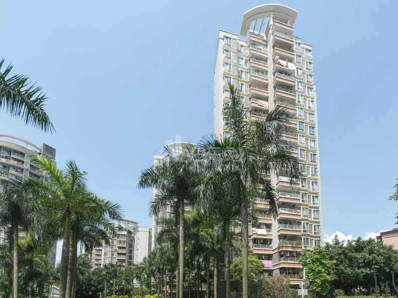 桃花园（南山大道）13993843周边环境图11