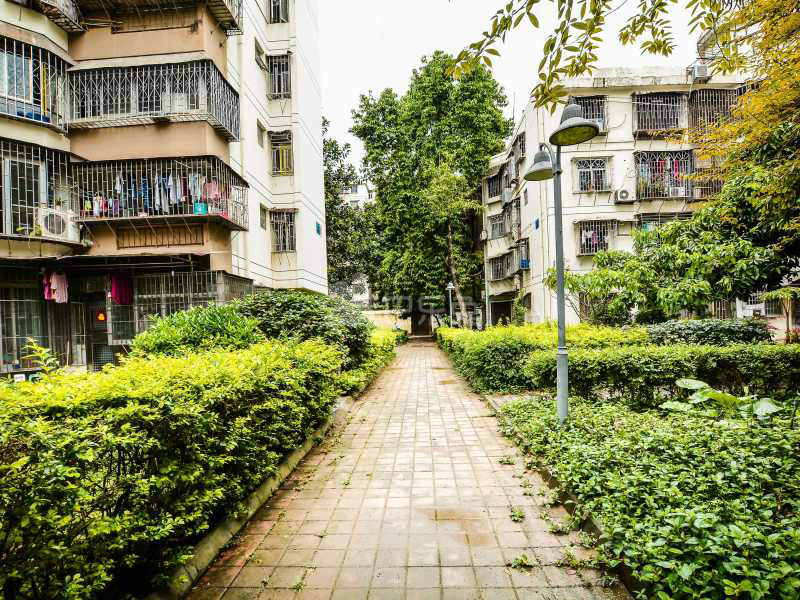 园岭新村11958613周边环境图2