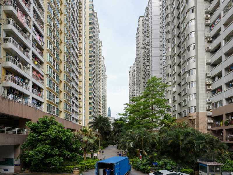 玮鹏花园12073788周边环境图2