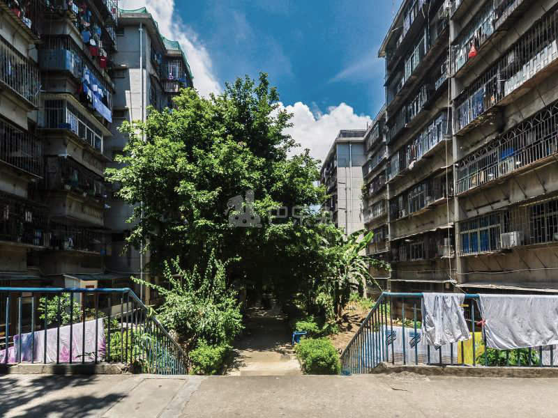 越众小区14834354周边环境图8