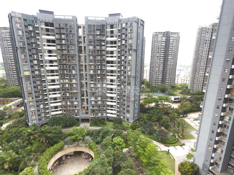 第5大道高发西岸花园7113686周边环境图9