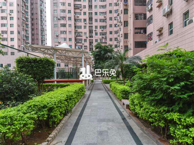 深圳龙岗_龙珠花园a区_1室0厅0卫_合租朝南_京南路a区