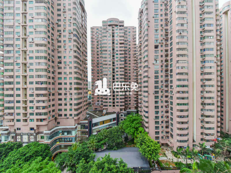 深圳龙岗_龙珠花园a区_1室0厅0卫_合租朝南_京南路a区