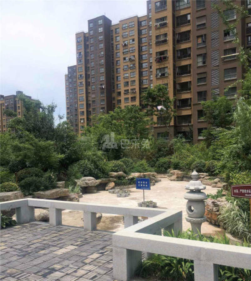 茉莉苑(南园）12499783周边环境图8