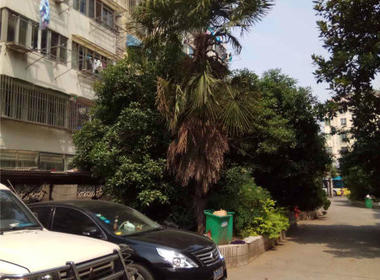 莫园新寓 2室0厅0卫