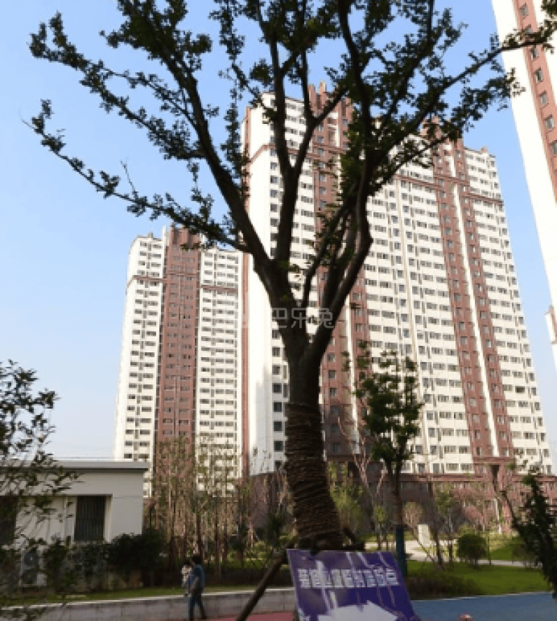 燕雅苑13754979周边环境图8