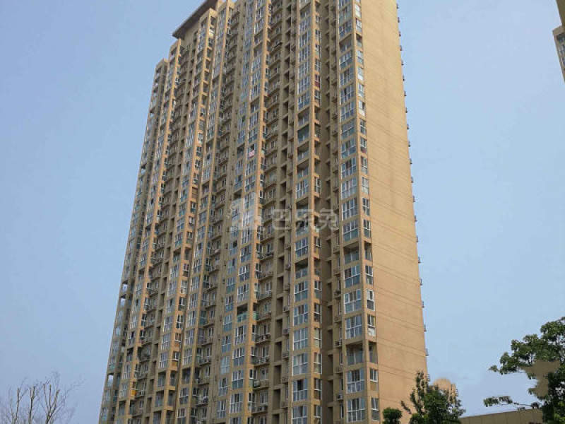 新江雅苑10705147周边环境图8