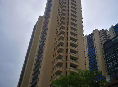 保利堂悦 1室0厅1卫