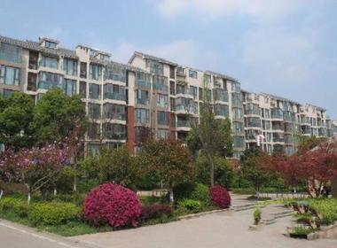 东郊小镇第二街区 4室0厅0卫