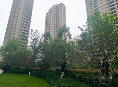 金隅紫京府 4室0厅0卫