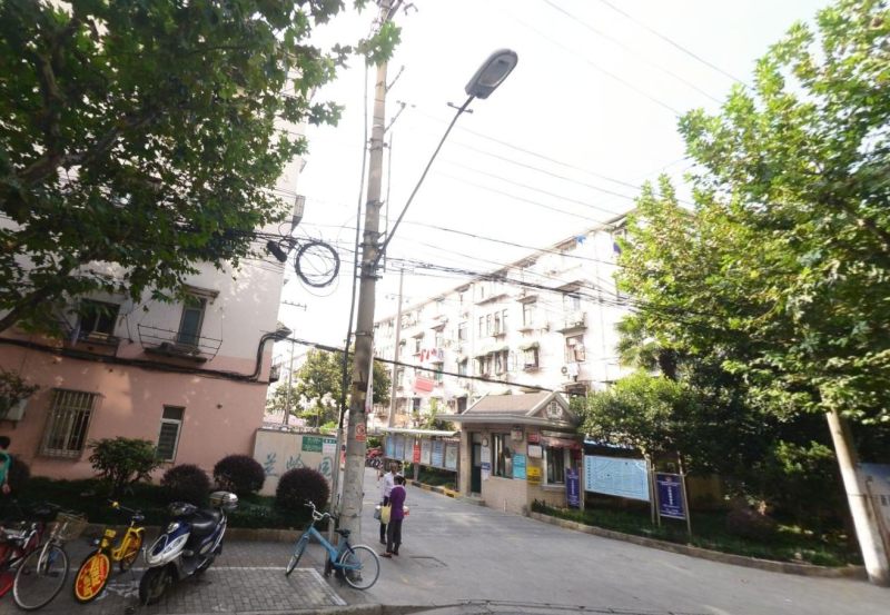 曹杨三村兰岭园