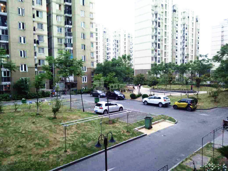 高行绿洲三期14829715周边环境图19