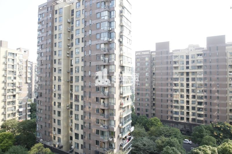 中环一号一期8130881周边环境图10