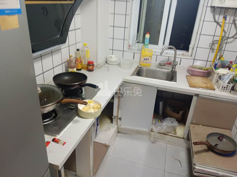 徐泾北城馨浦苑西区（乐高路191弄）10101143厨房图5