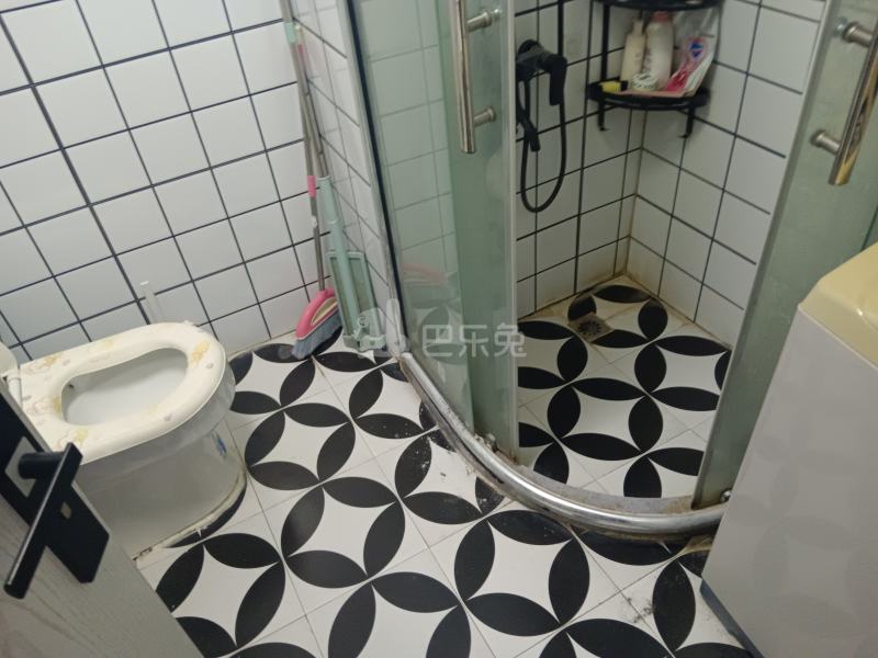 徐泾北城馨浦苑西区（乐高路191弄）10101143卫生间图9